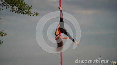  Halcón: ¡El Maestro del Cielo que Se Desliza con la Gracia de un Bailarín Acrobático!